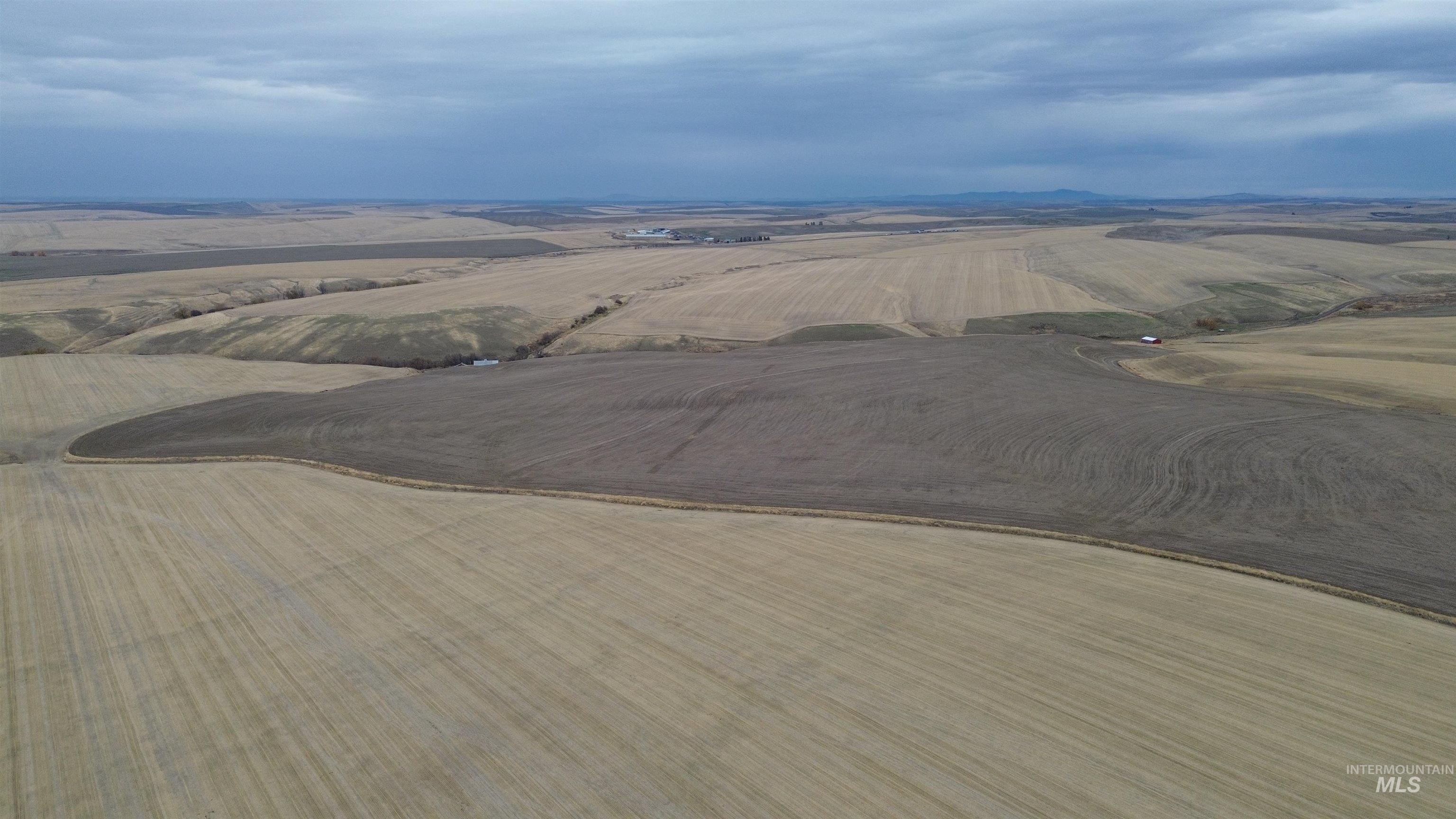 Nka Smith Gulch Road Pomeroy, WA 99347 - Photo 5 of 11 View of rural area