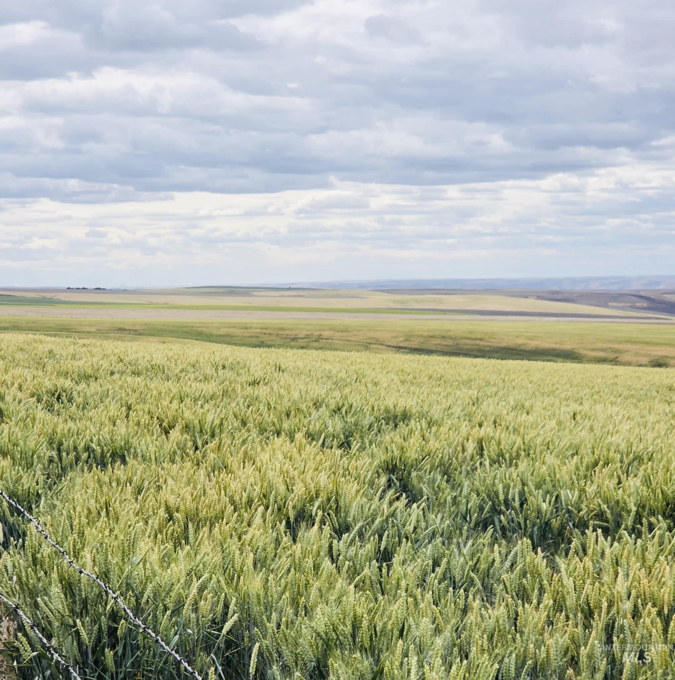 Nka Smith Gulch Road Pomeroy, WA 99347 - Photo 8 of 11 View of mountain backdrop with rural landscape and abundant farmland
