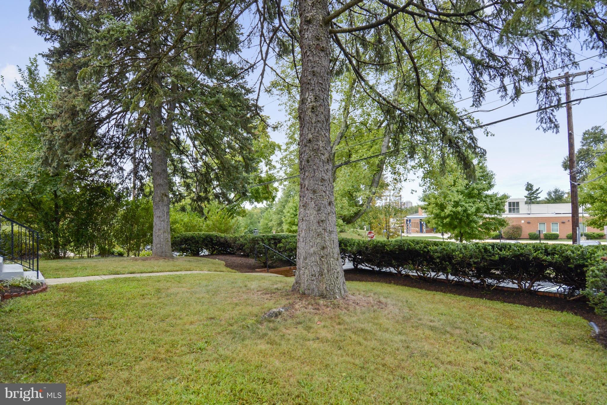 4709 Saul Road Kensington, MD 20895 - Photo 3 of 30 Front yard