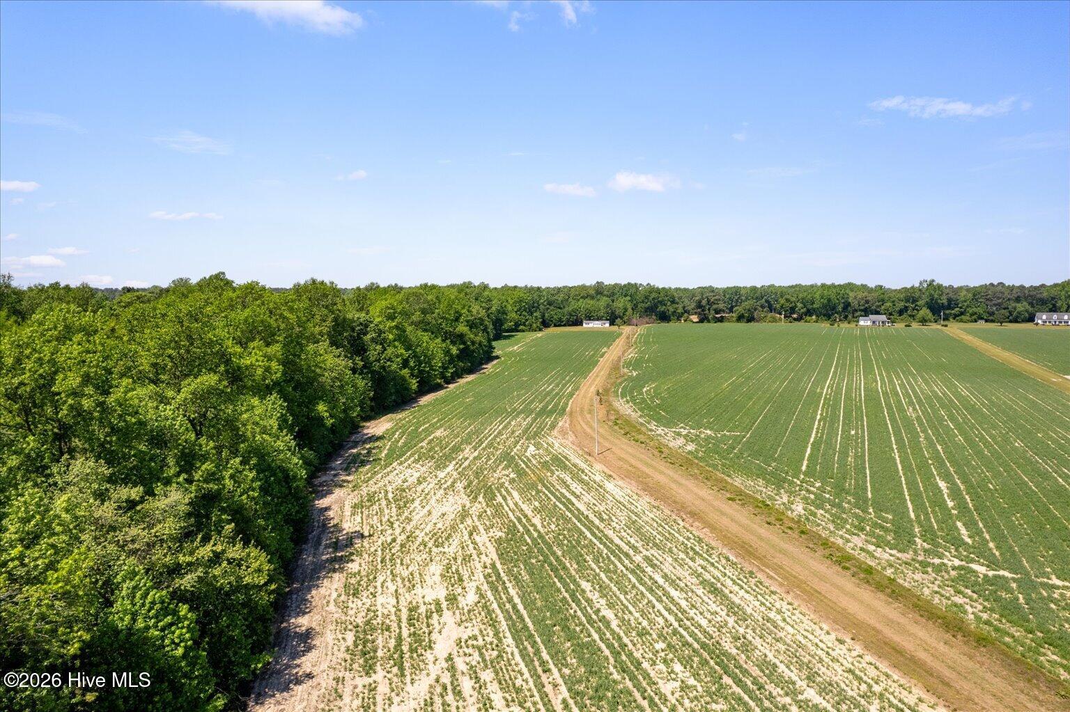 1500 Veachs Mill Road Warsaw, NC 28398 - Photo 53 of 60 53-DJI_0068-HDR-Edit