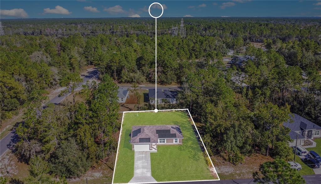 6949 Southwest 152nd Street Ocala, FL 34473 - Photo 19 of 20 a view of a yard with a tree