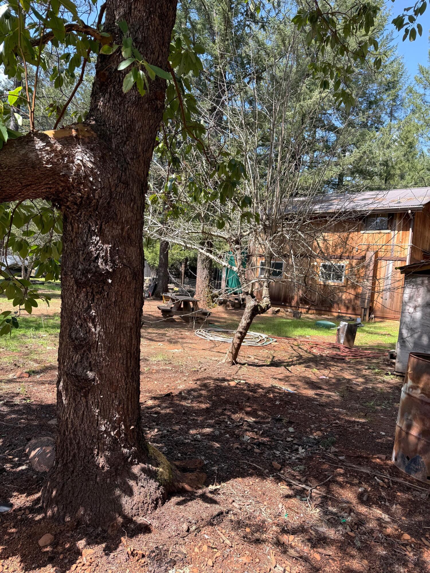 765 Lone Mountain Road O'Brien, OR 97534 - Photo 5 of 16 Sunny back yard - mid day