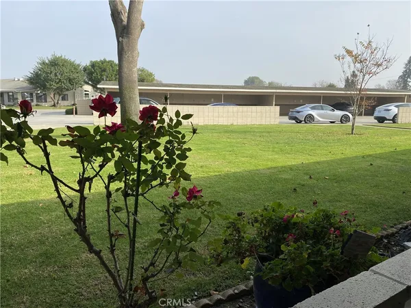 a view of a garden with a bench in the background