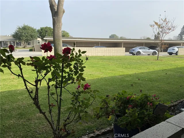 a view of a garden with a bench in the background