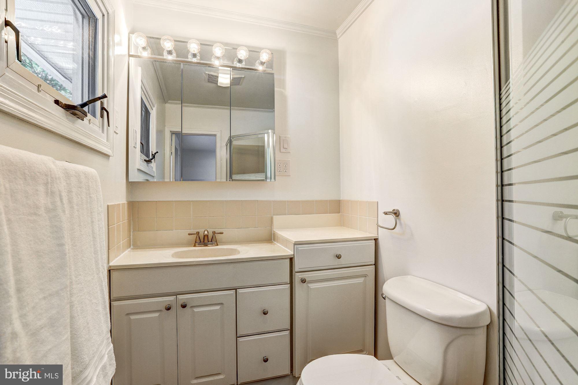 1323 South Seneca Road Baltimore, MD 21220 - Photo 15 of 43 Master Suite Bath
