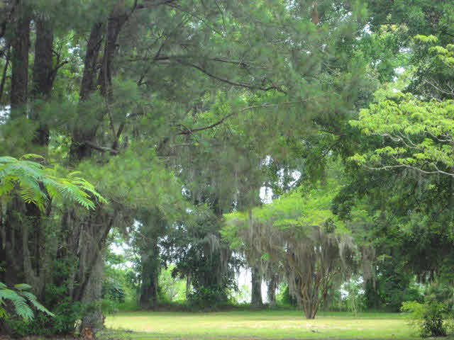 28543 2nd Street Daphne, AL 36526 - Photo 3 of 5