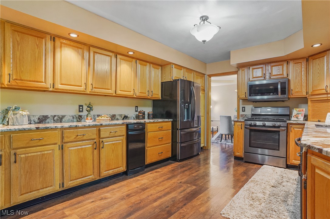 370 Wilcox Road Youngstown, OH 44515 - Photo 8 of 49 Kitchen with stainless steel appliances, recessed lighting, dark wood-style flooring, and light stone countertops