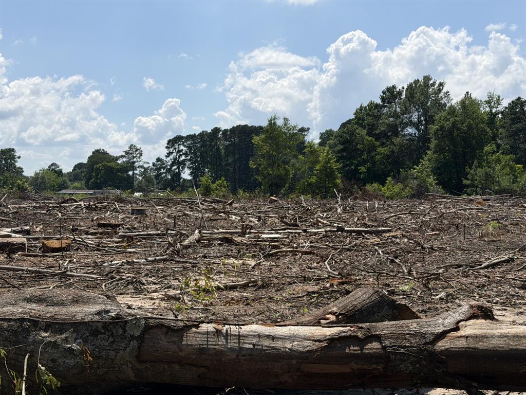 0 Bogle Road Logansport, LA 71049 - Photo 2 of 2 Cleared land parcel with substantial tree coverage along the rear property line, offering potential for privacy