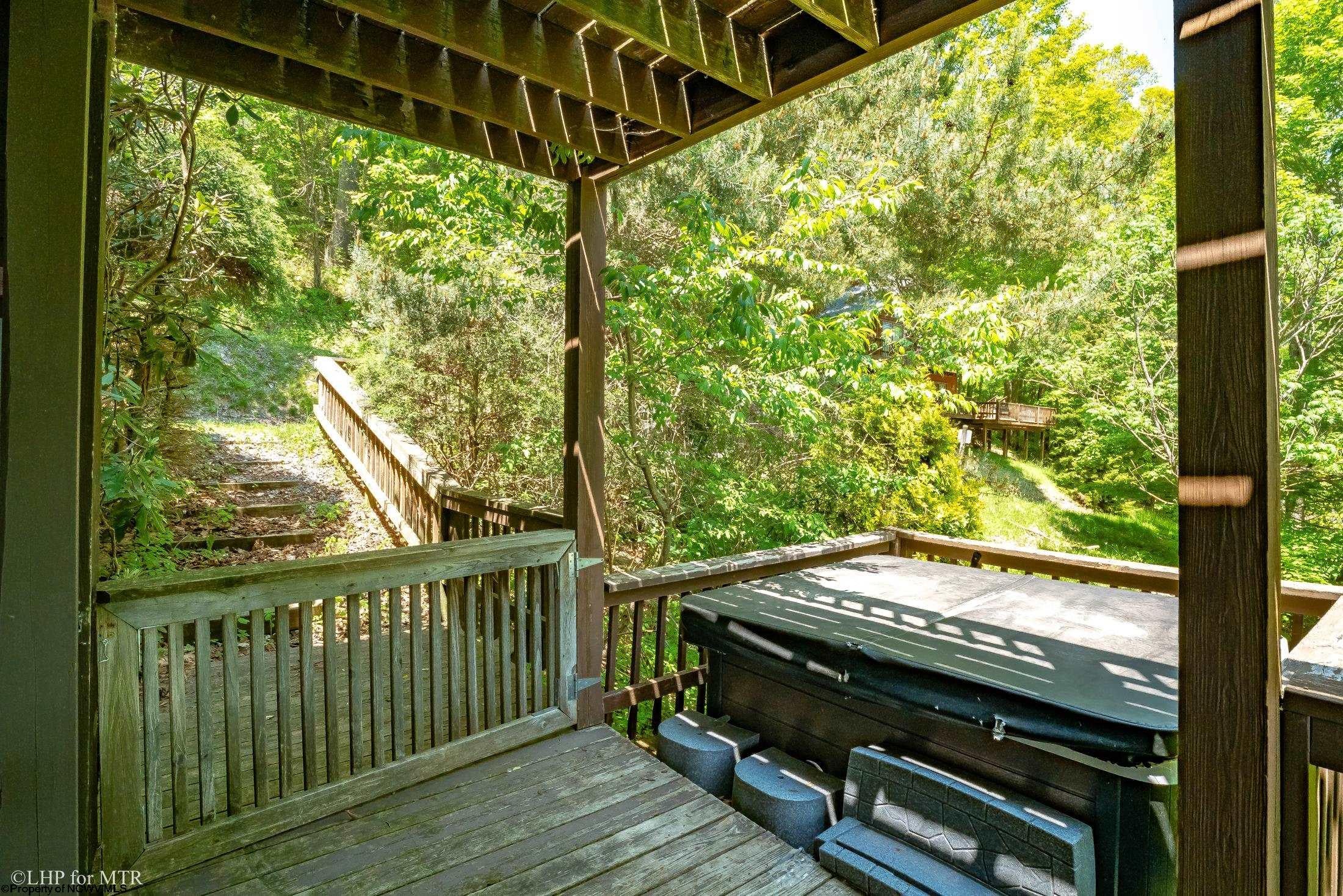 65 Snow Run Road Davis, WV 26260 - Photo 24 of 36 Gallery Image 24