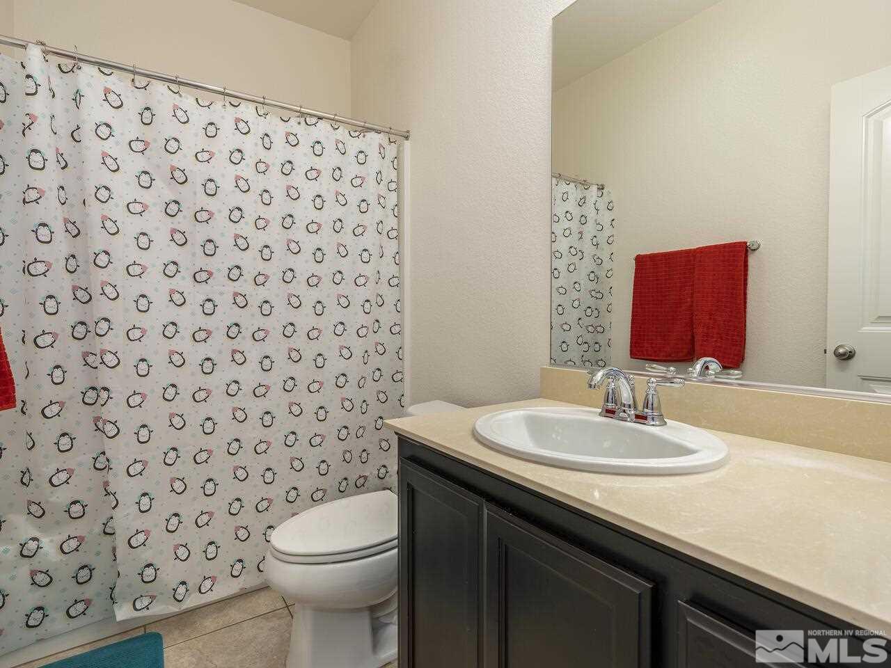 2090 Tawleed Road Reno, NV 89521 - Photo 17 of 24 a bathroom with a sink toilet and mirror