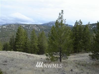 352832-4010 Xxxxx Riverside, WA 98849 - Photo 1 of 1 Gallery Image 1