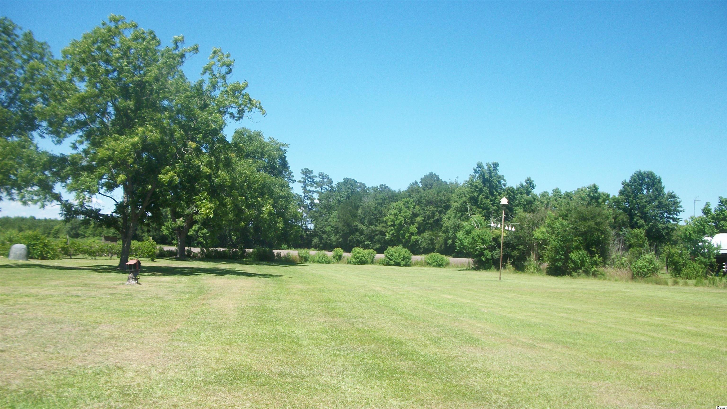 2951 Old Manning Road Scranton, SC 29591 - Photo 6 of 40