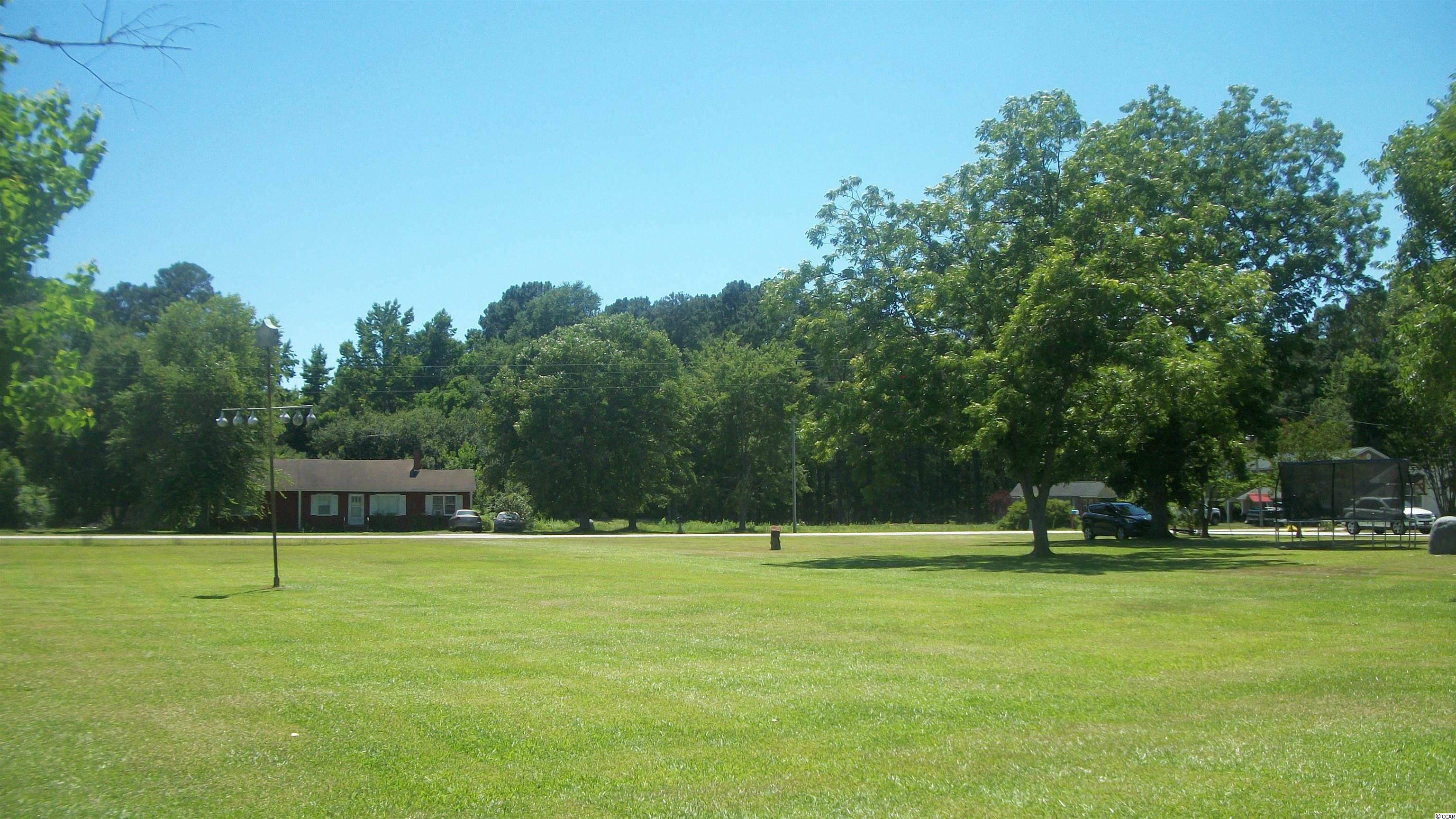 2951 Old Manning Road Scranton, SC 29591 - Photo 7 of 40
