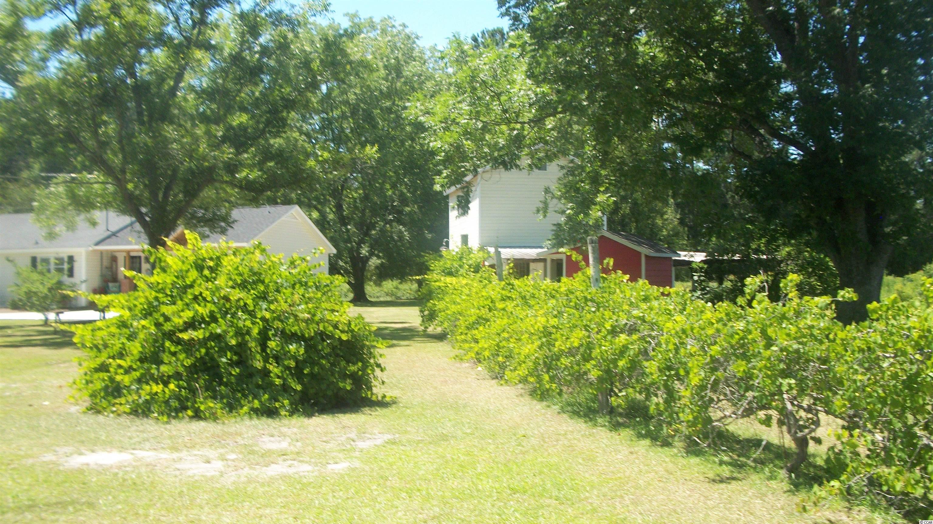2951 Old Manning Road Scranton, SC 29591 - Photo 8 of 40
