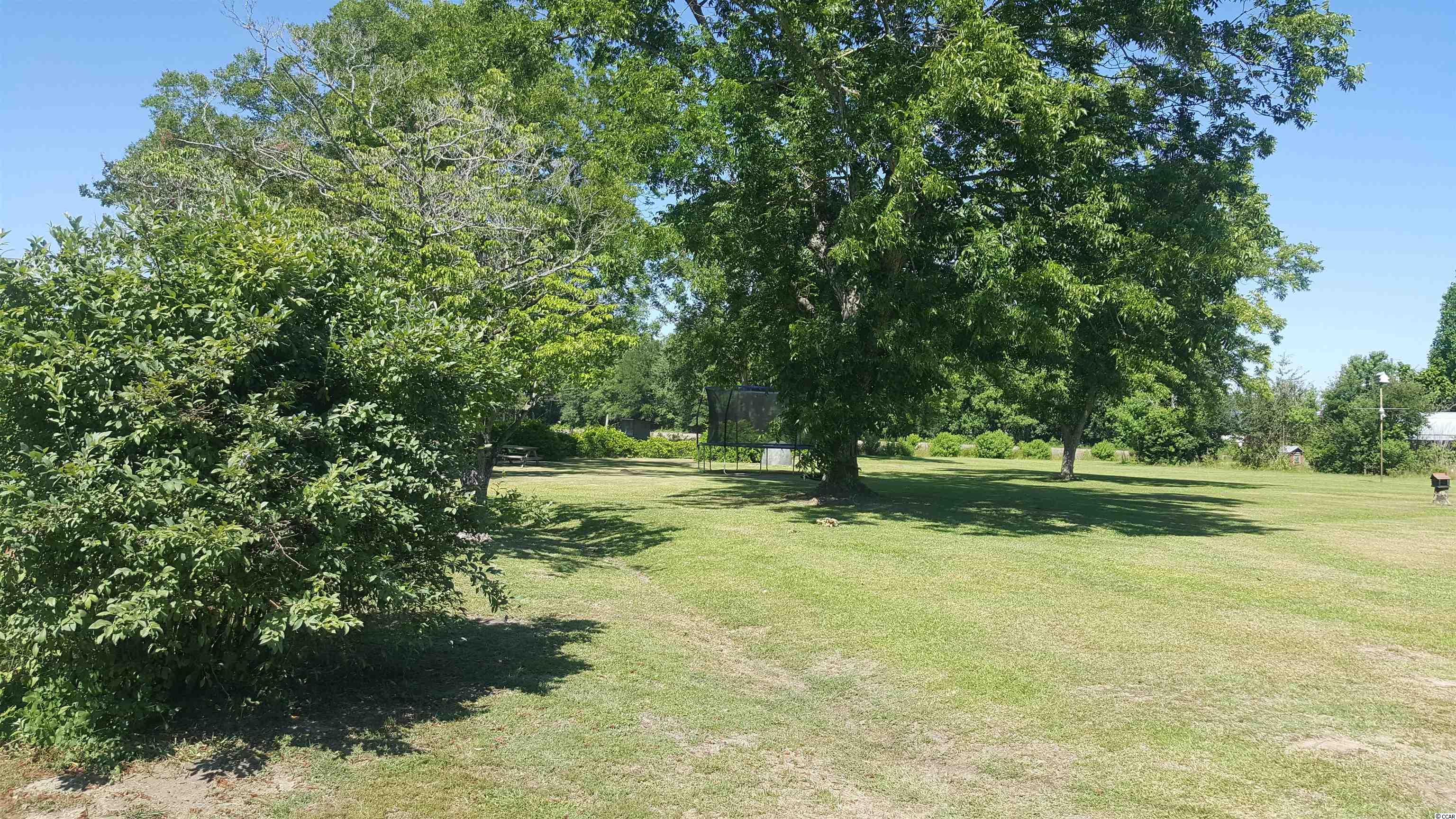 2951 Old Manning Road Scranton, SC 29591 - Photo 10 of 40