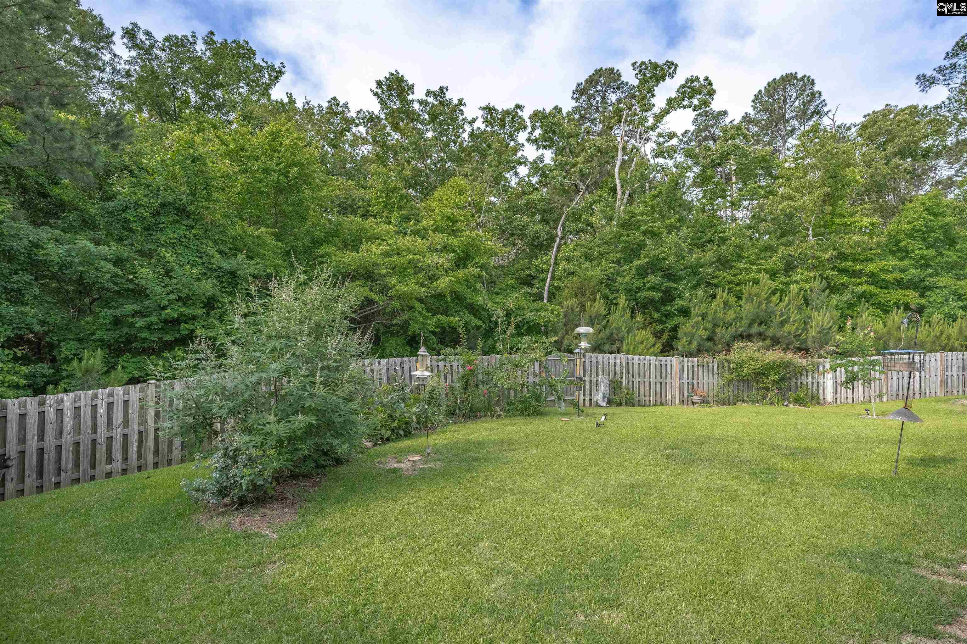 929 Isle Court Chapin, SC 29036 - Photo 42 of 46