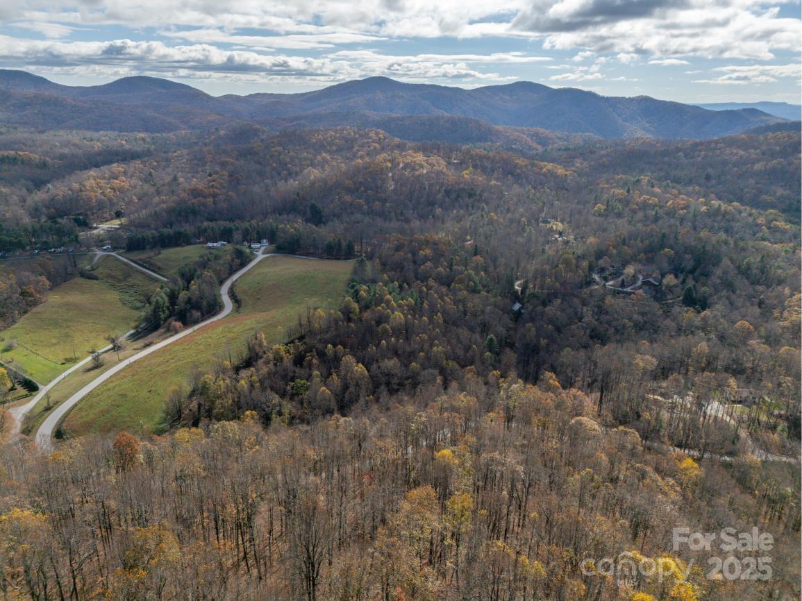 0 Orchard Mountain Road Saluda, NC 28773 - Photo 13 of 14