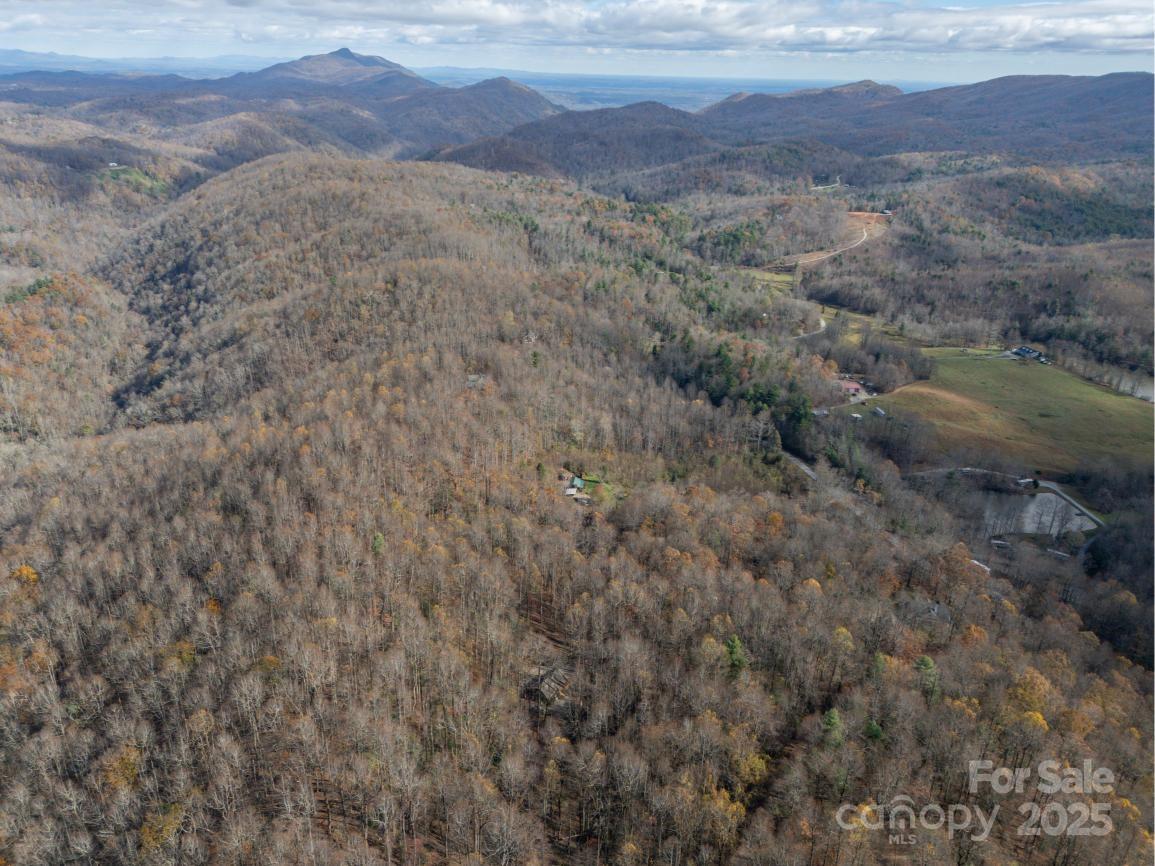 0 Orchard Mountain Road Saluda, NC 28773 - Photo 14 of 14