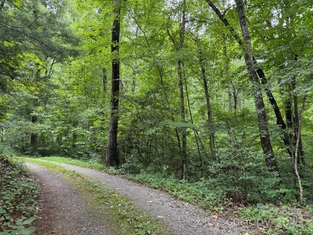 0 Orchard Mountain Road Saluda, NC 28773 - Photo 4 of 14