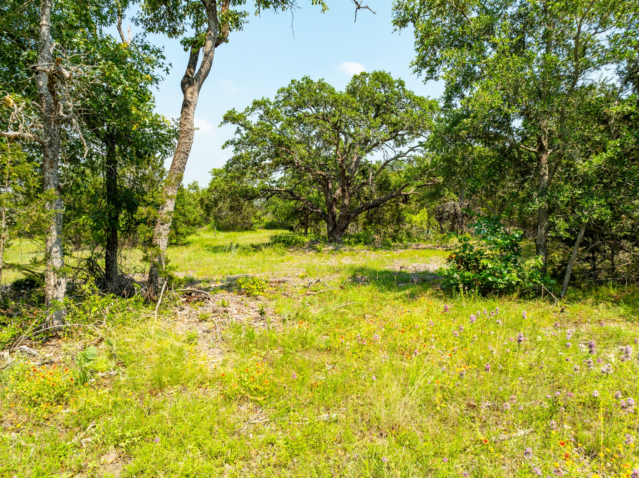 Tbd Tbd Pitchfork Ranch Road Copperas Cove, TX 76522 - Photo 9 of 35 a view of a yard with an outdoor space