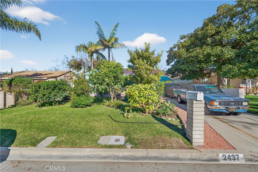 2437 Bloomdale Street Duarte, CA 91010 - Photo 18 of 23 a view of a yard and front view of a house