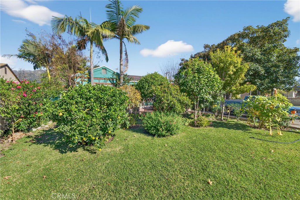 2437 Bloomdale Street Duarte, CA 91010 - Photo 6 of 23 a view of a garden