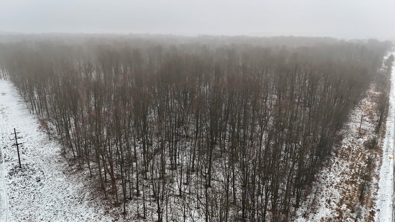 V/l South Chapin Road Elsie, MI 48831 - Photo 4 of 20