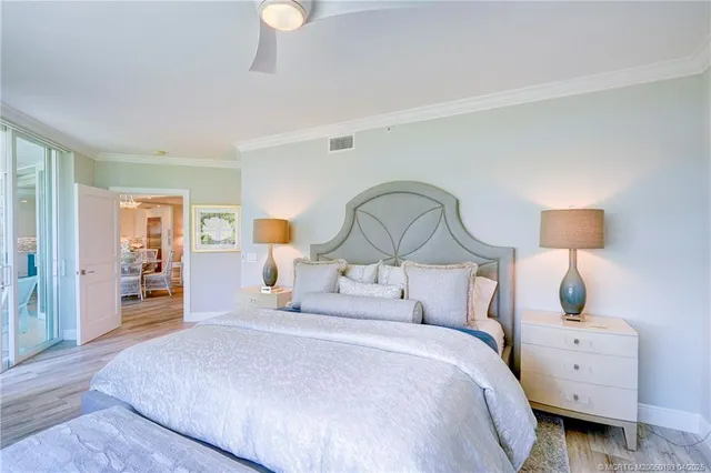 a view of a garden with a tree