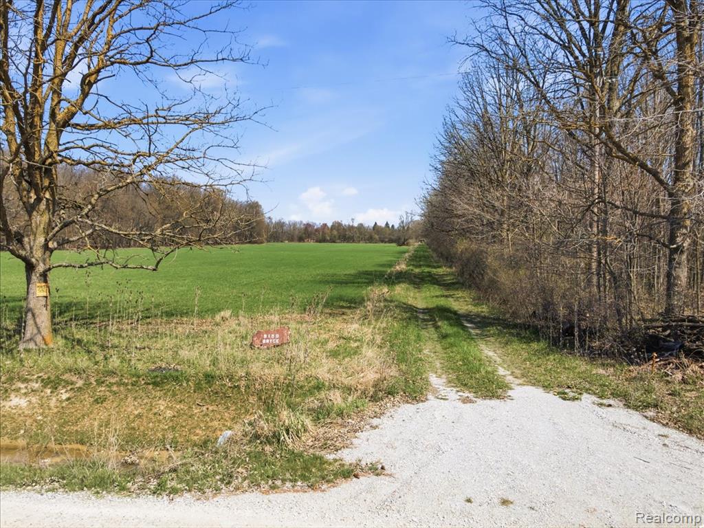 9190 Bryce Road Avoca, MI 48006 - Photo 35 of 46