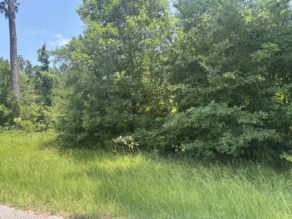 Tbd Sam Houston Loop Point Blank, TX 77364 - Photo 2 of 12