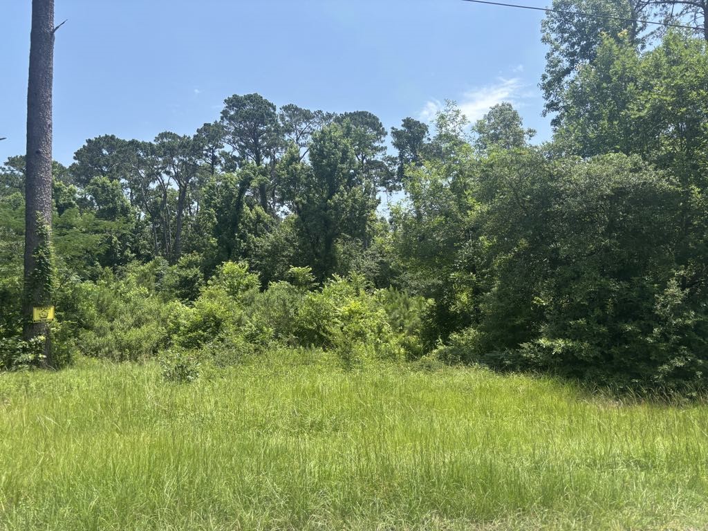 Tbd Sam Houston Loop Point Blank, TX 77364 - Photo 3 of 12