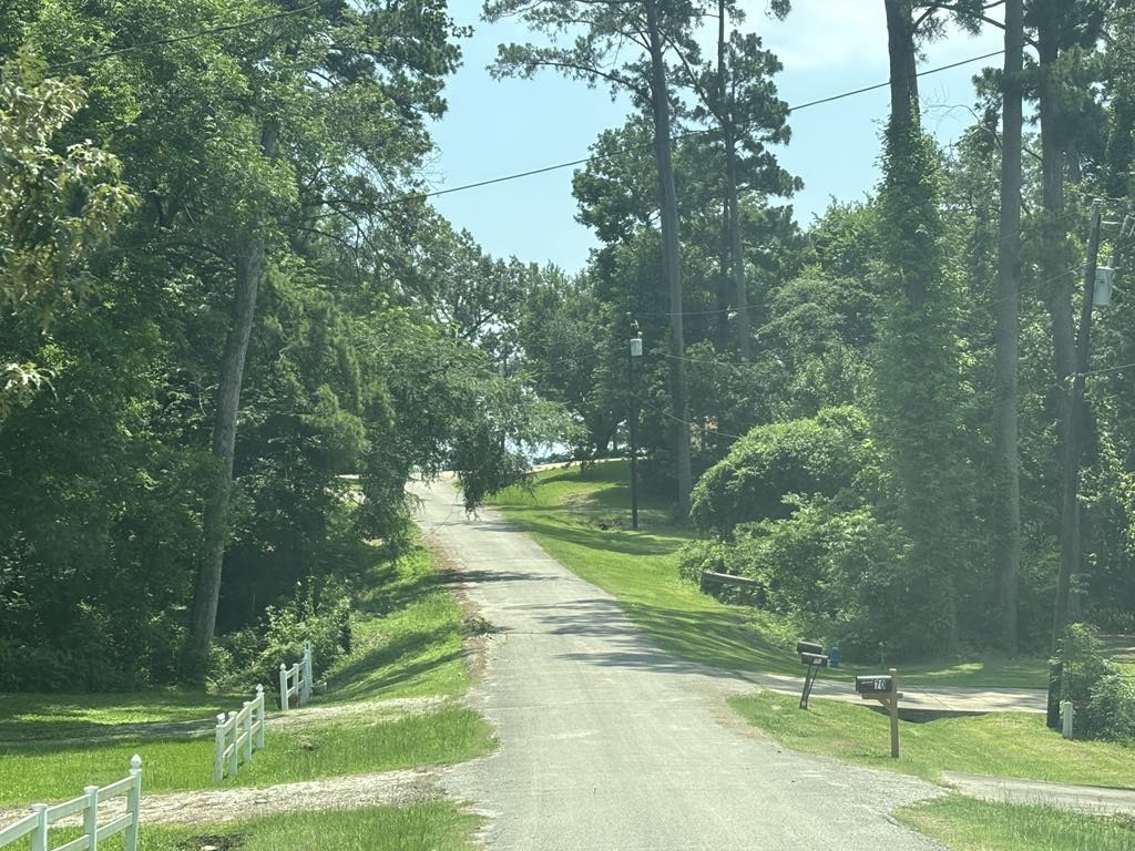 Tbd Sam Houston Loop Point Blank, TX 77364 - Photo 6 of 12 looking down the road from the lot at the lake