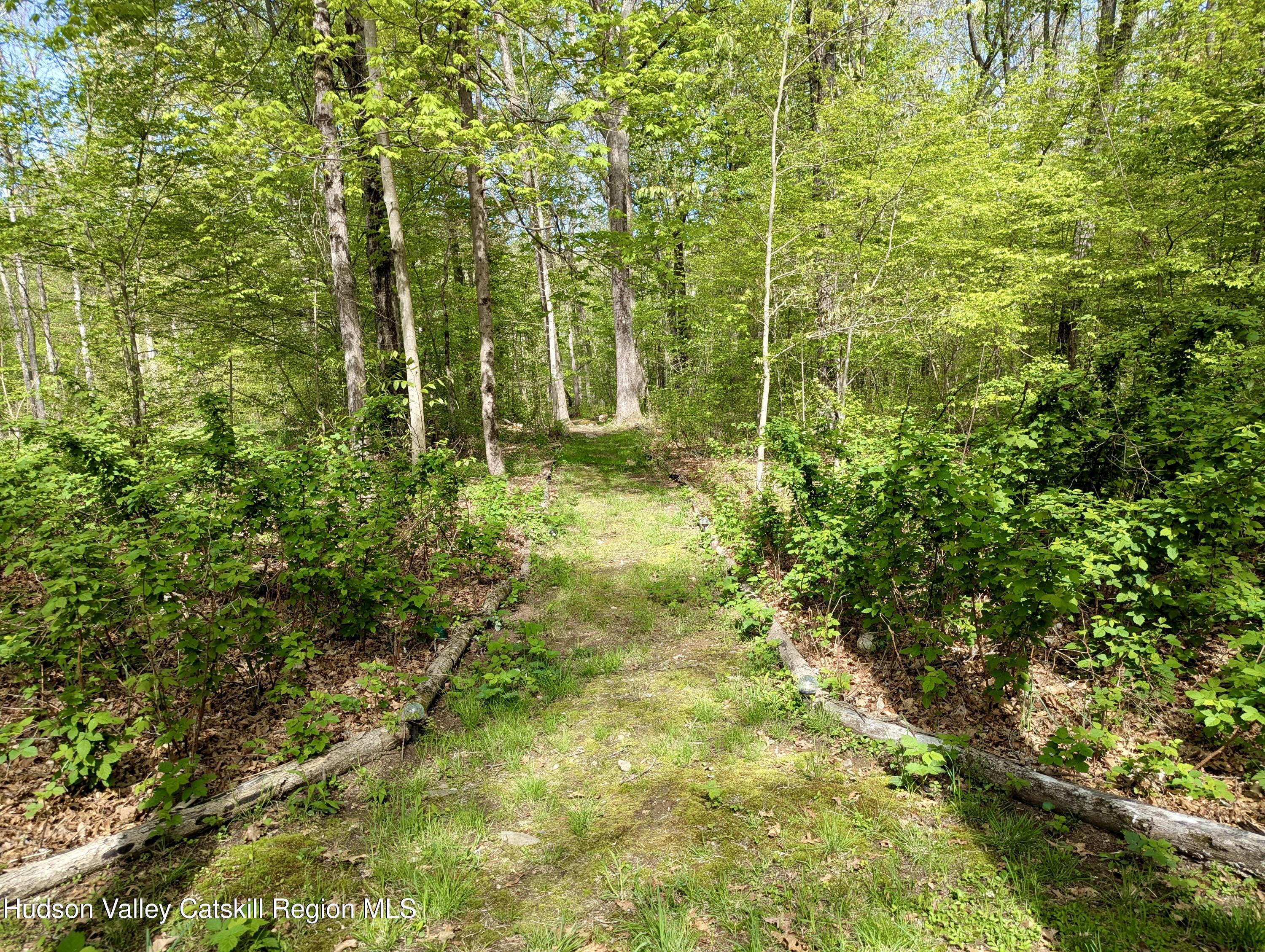 354 Plutarch Road Highland, NY 12528 - Photo 31 of 45 PXL_20250501_143431499.MP