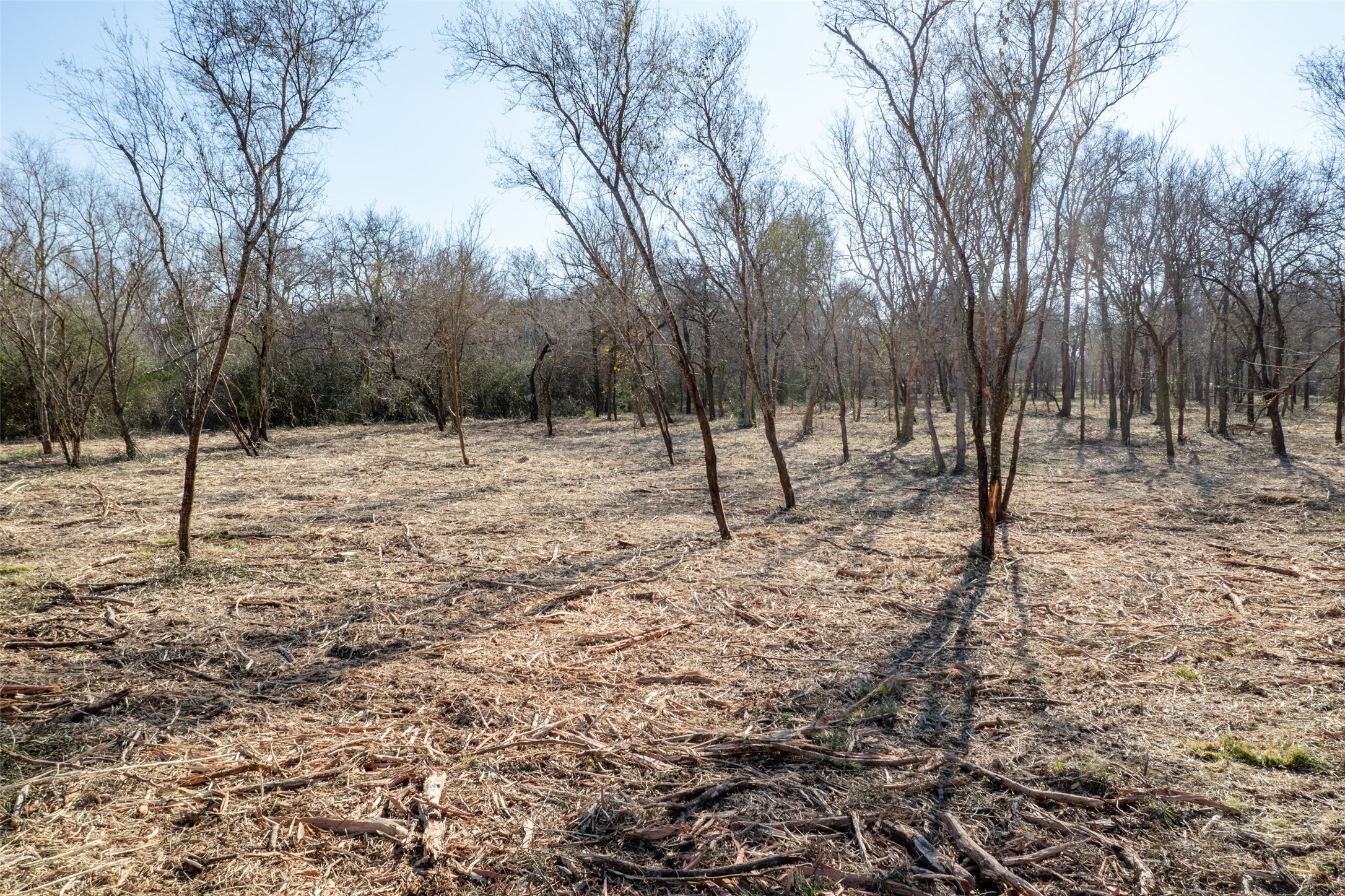 0 Pultar Road Richmond, TX 77469 - Photo 4 of 13