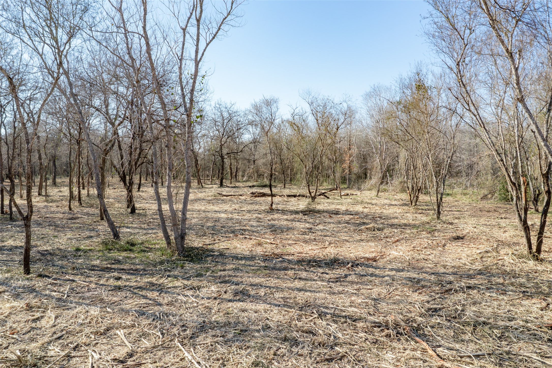 0 Pultar Road Richmond, TX 77469 - Photo 5 of 13