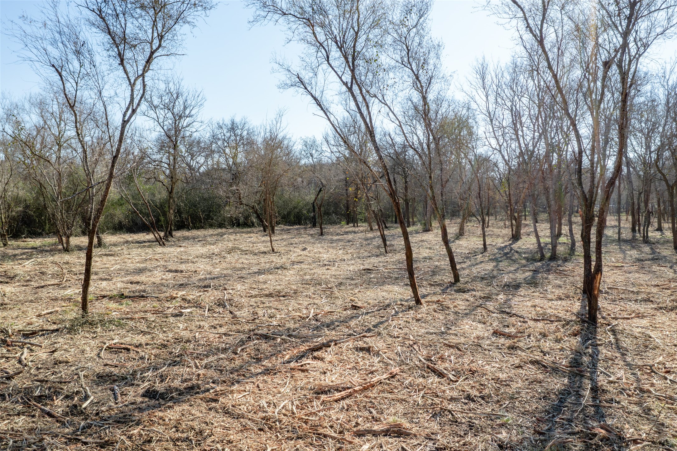 0 Pultar Road Richmond, TX 77469 - Photo 6 of 13