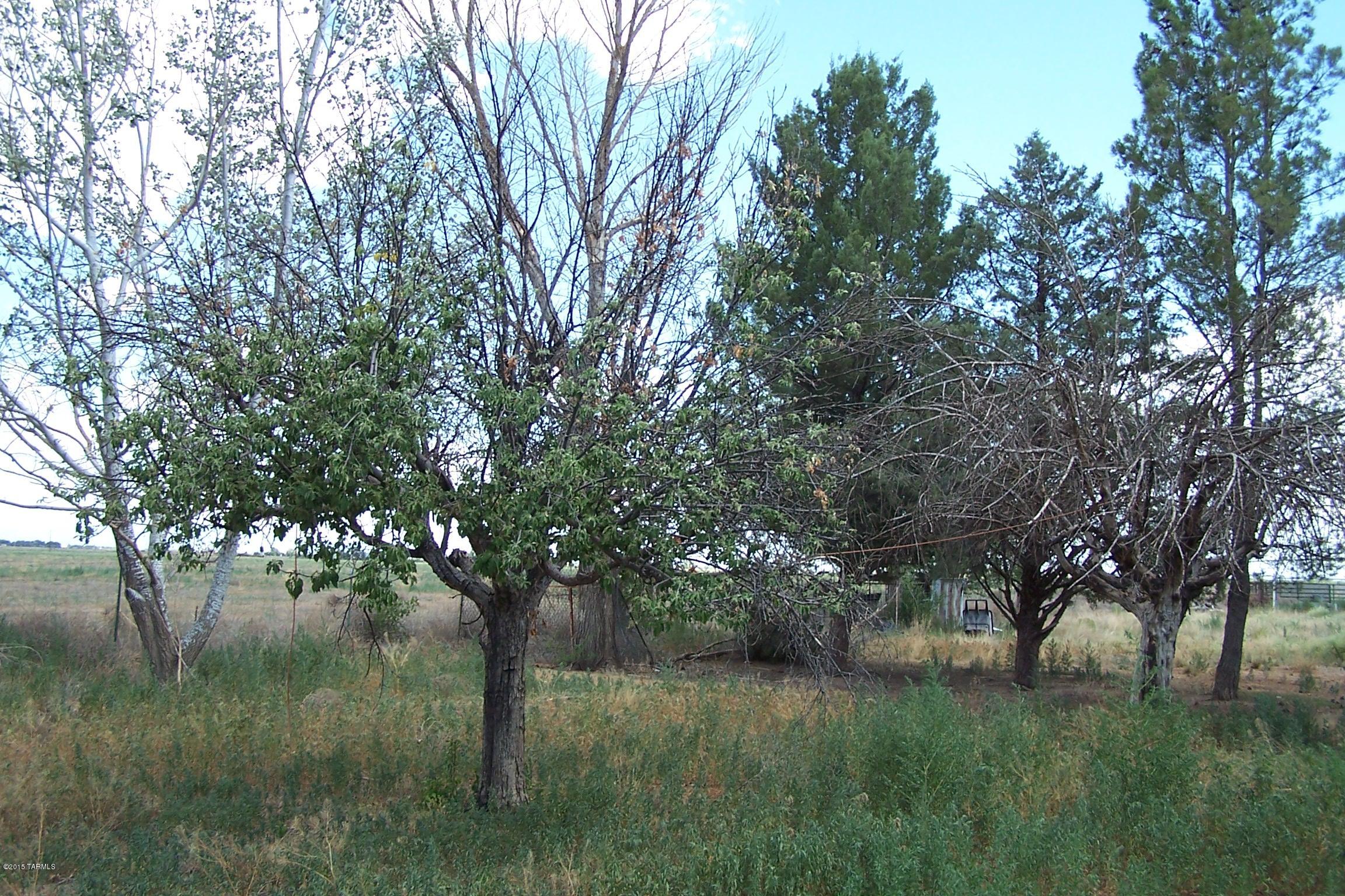 6601 West Black Road Willcox, AZ 85643 - Photo 10 of 27 Gallery Image 10