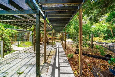 a view of a yard with plants and sky view