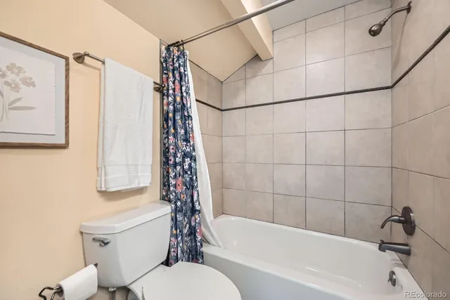 a bathroom with a toilet and a bathtub