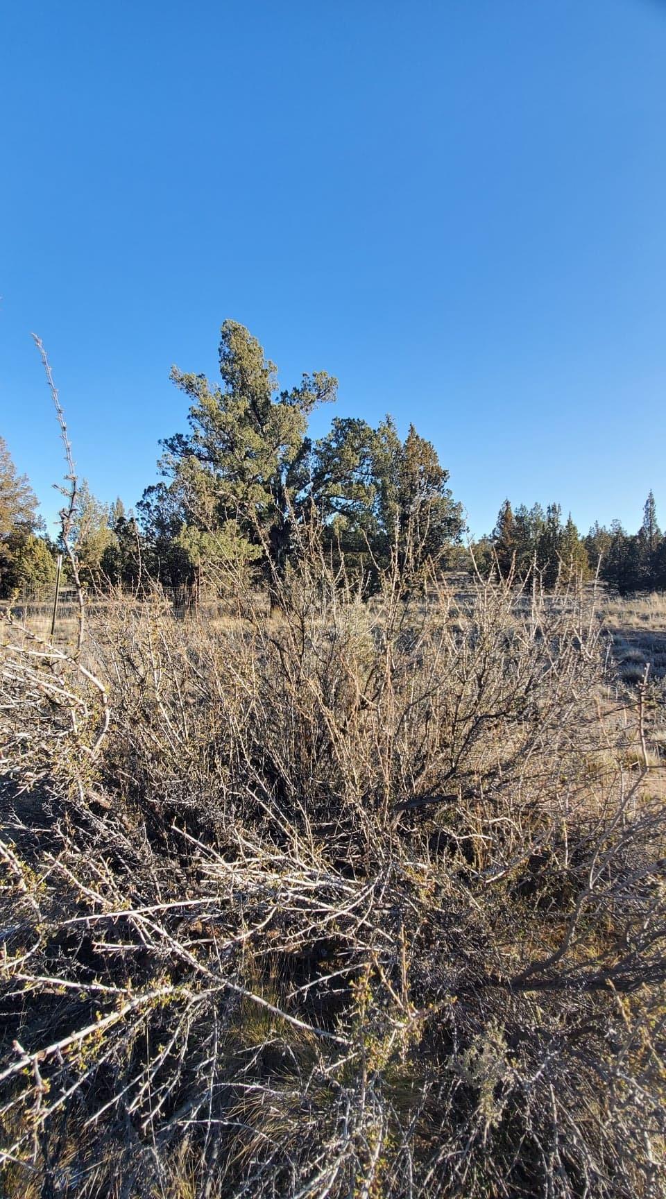 Southeast Huron Road Prineville, OR 97754 - Photo 15 of 25 14