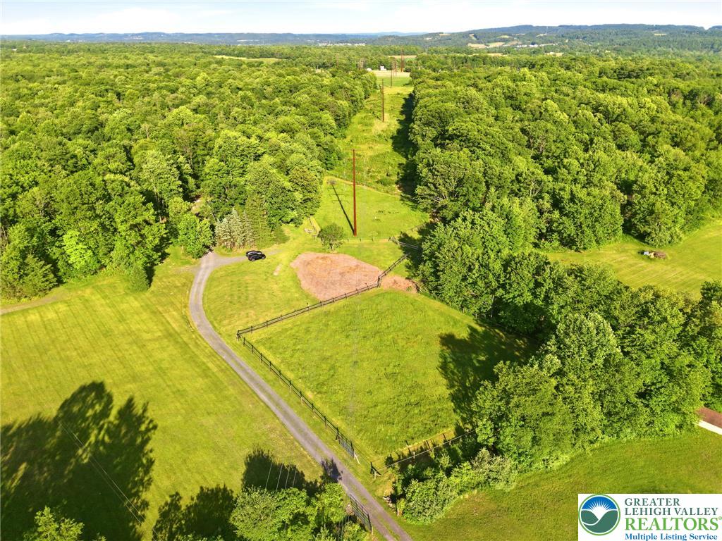 9033 Loop Road Slatington, PA 18080 - Photo 33 of 53 Acres of verdant land with mature trees and a long, private driveway await.