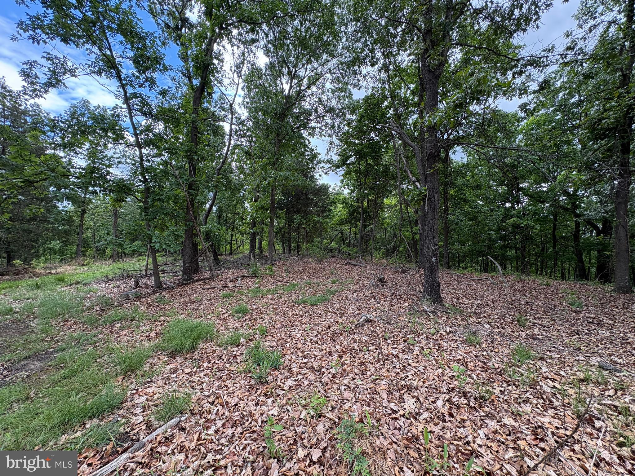 40.15-ac Middle Ridge Road Burlington, WV 26710 - Photo 34 of 47