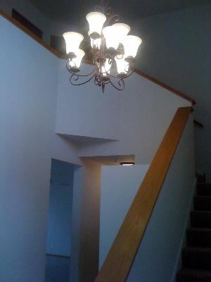 1015 Sable Ridge Drive Joliet, IL 60431 - Photo 3 of 13