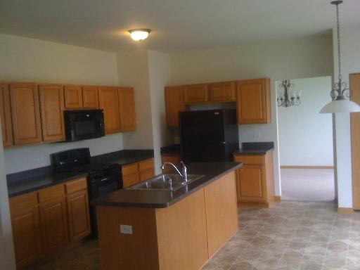 1015 Sable Ridge Drive Joliet, IL 60431 - Photo 4 of 13
