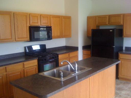 1015 Sable Ridge Drive Joliet, IL 60431 - Photo 5 of 13