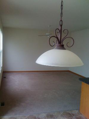 1015 Sable Ridge Drive Joliet, IL 60431 - Photo 7 of 13