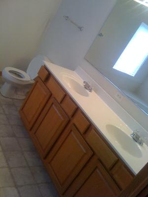 1015 Sable Ridge Drive Joliet, IL 60431 - Photo 10 of 13