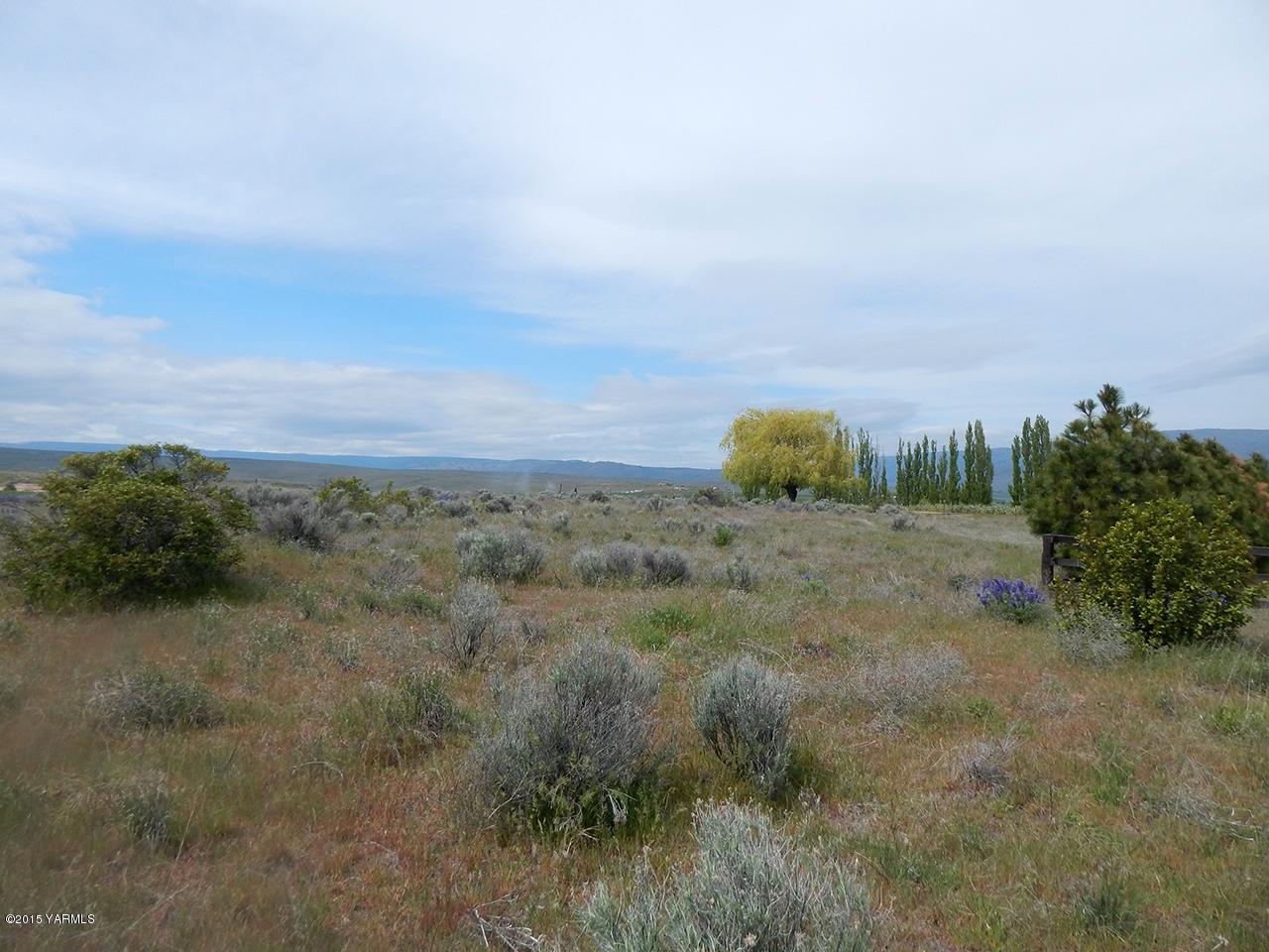 a view of a dry yard with trees