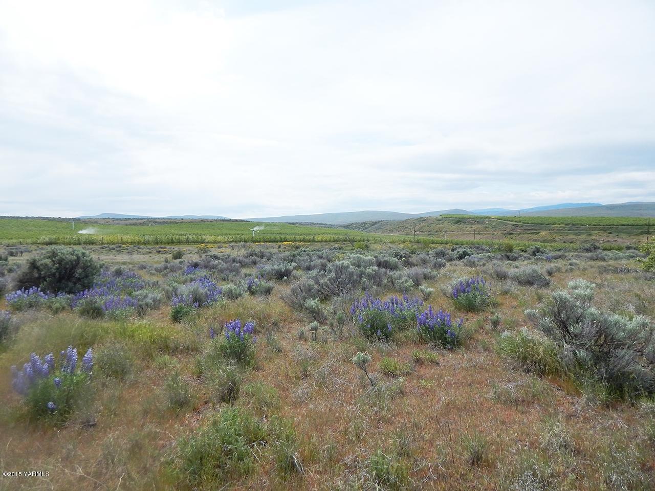 460 Kail Road Tieton, WA 98947 - Photo 2 of 6 a view of a field with trees in the background