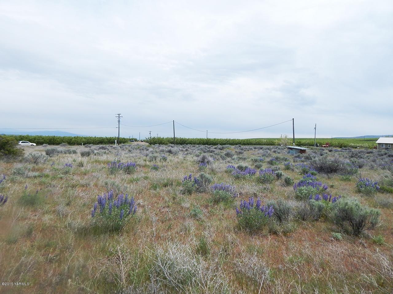 460 Kail Road Tieton, WA 98947 - Photo 3 of 6 a view of a dry field